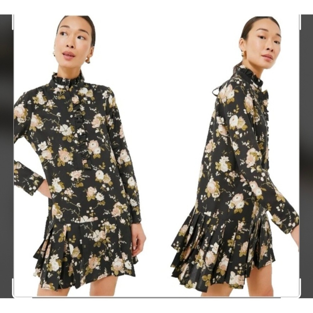 Tuckernuck Tate Floral Ruffle Neck Pleated Mini Dress Black XS